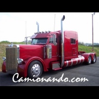 Pete 379 bordo.jpg