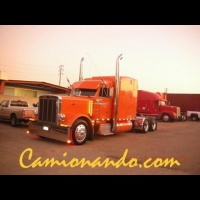 Peterbilt 379  California.jpg